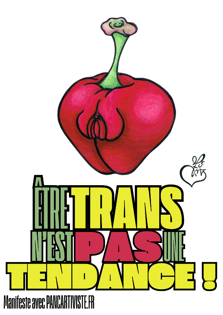 Être Trans n'est pas une Tendance !