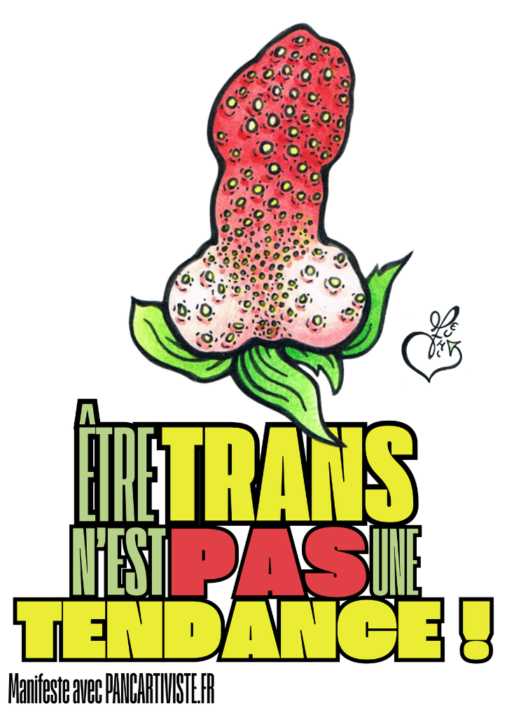 Être Trans n'est pas une Tendance !