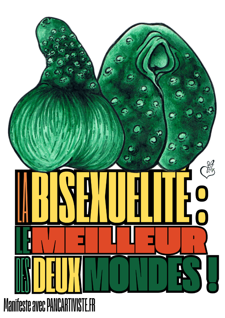 Ni Confus Ni Indécis : Bisexuel !