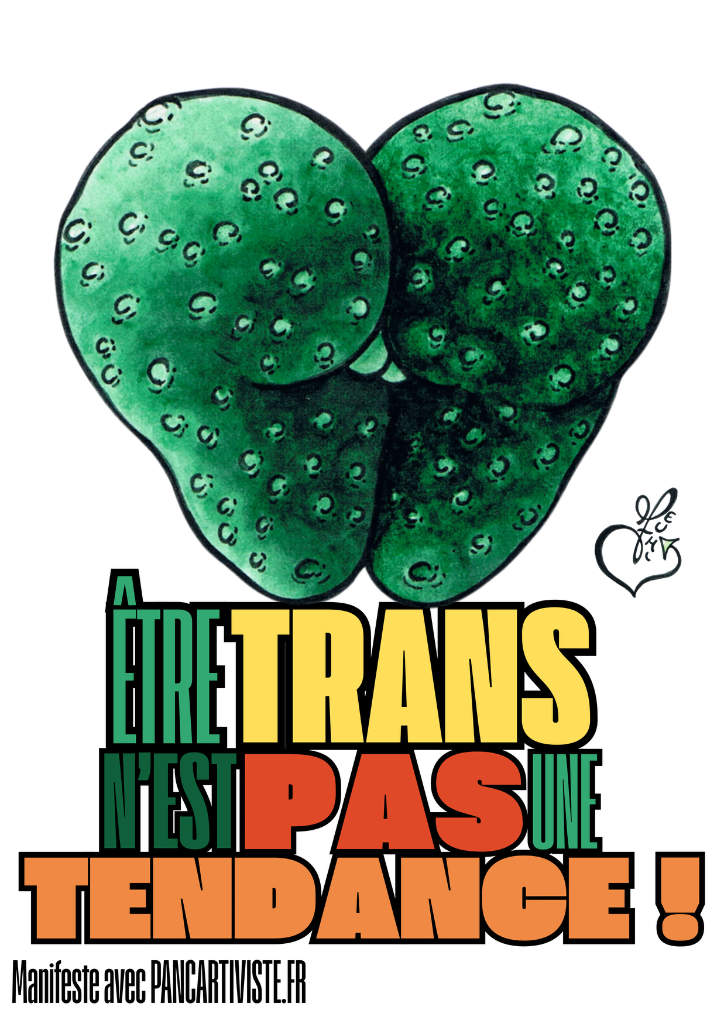 Être Trans n'est pas une Tendance !