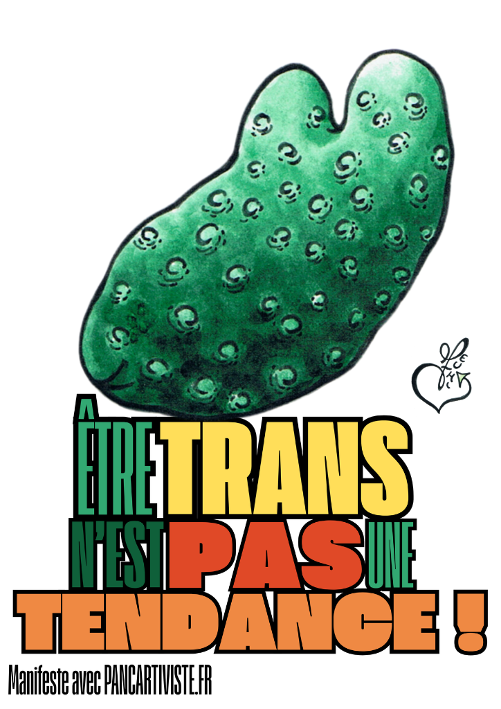 Être Trans n'est pas une Tendance !