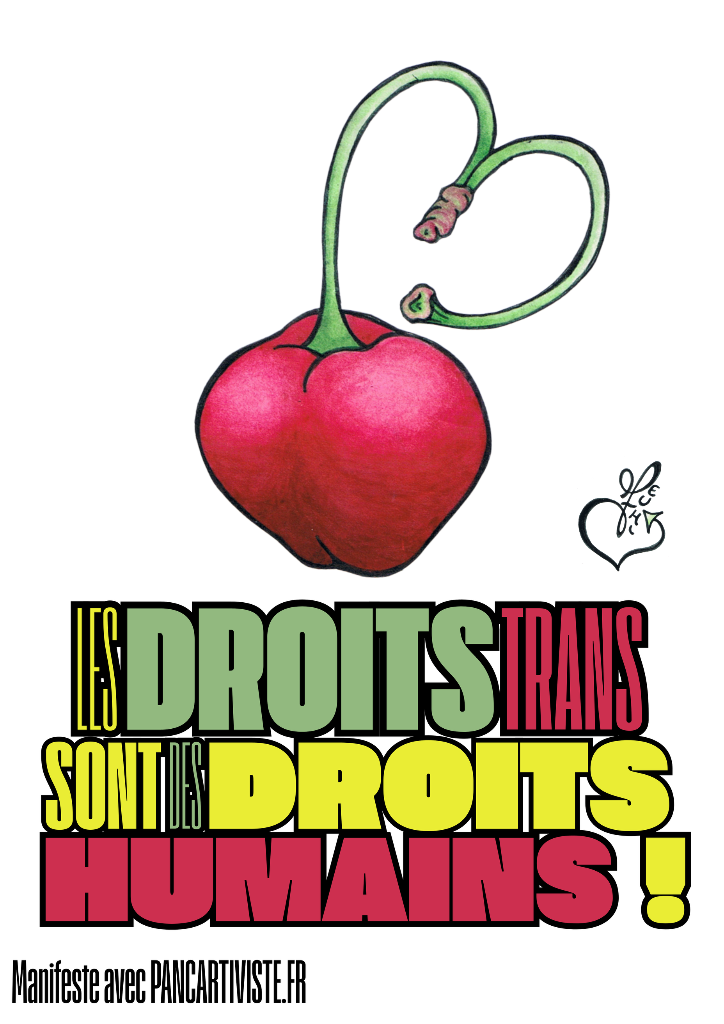 Les Droits Trans sont des Droits Humains !