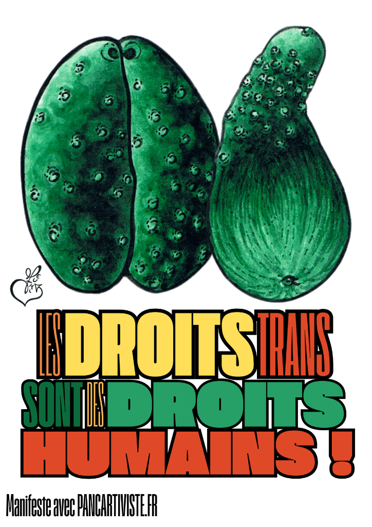 Les Droits Trans sont des Droits Humains !