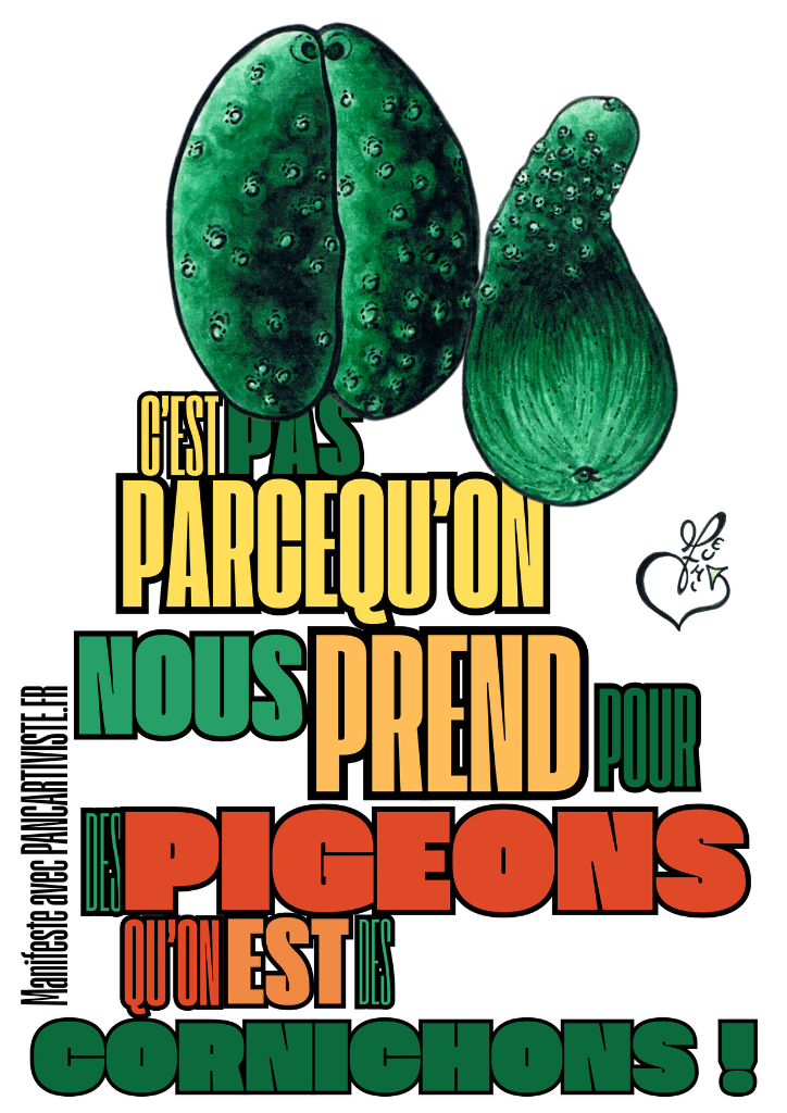 C'est pas Parcequ'on nous Prend pour des Pigeons qu'on est des Cornichons !