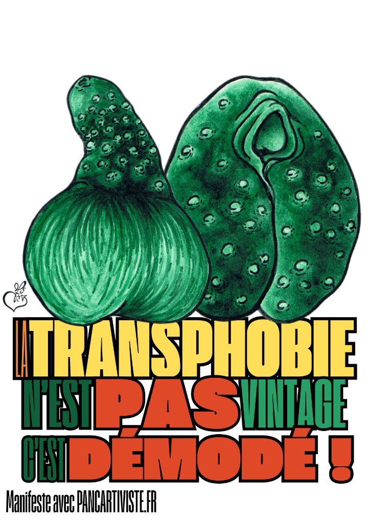 La Transphobie n'est pas Vintage, c'est Démodé !