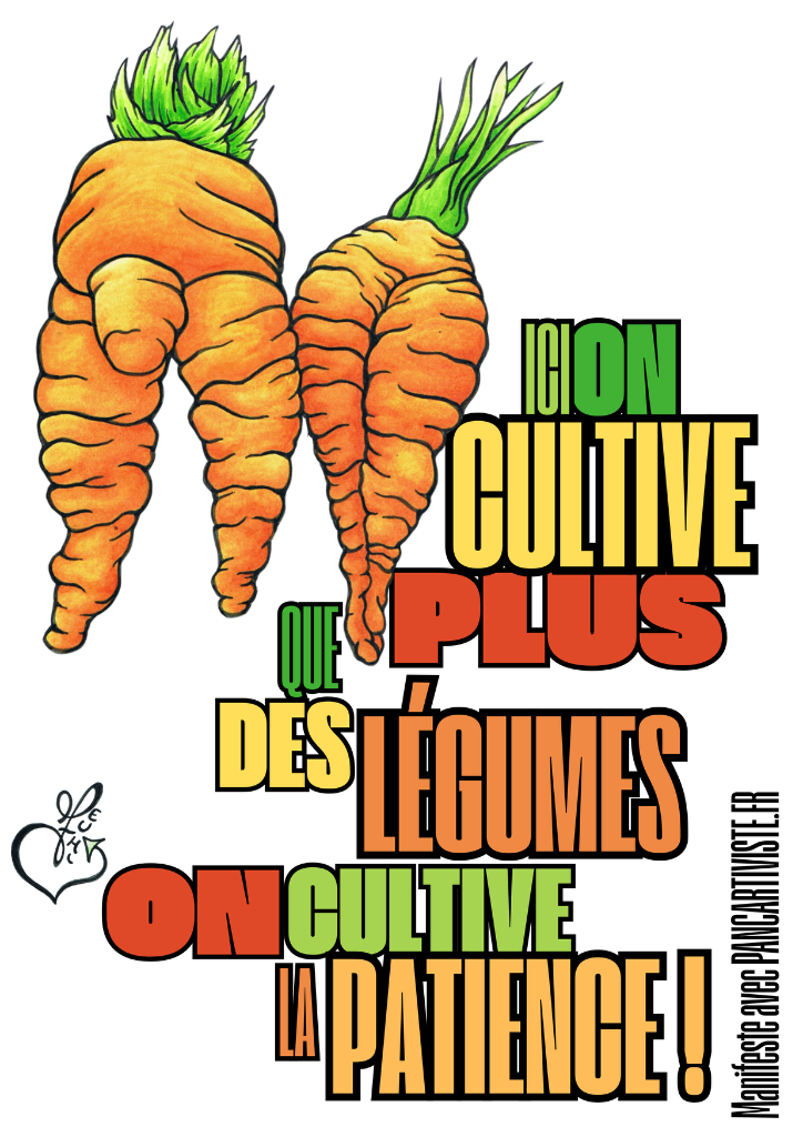 On Cultive que Plus des Légumes, On Cultive la Patience !