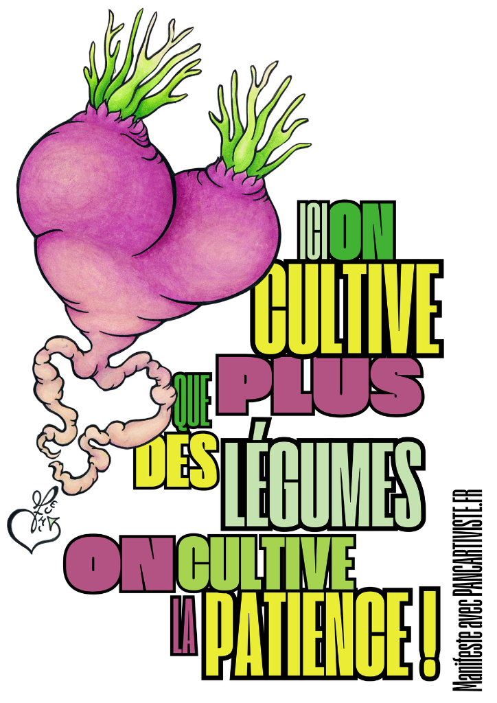 Ici on Cultive la Patience !