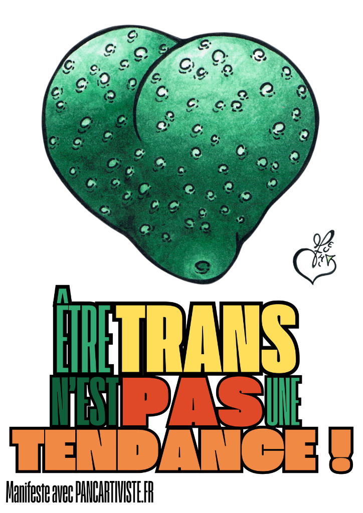 Être Trans n'est pas une Tendance !