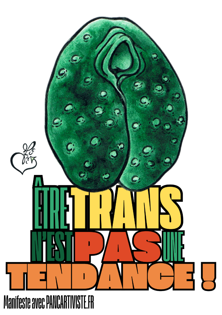 Être Trans n'est pas une Tendance !