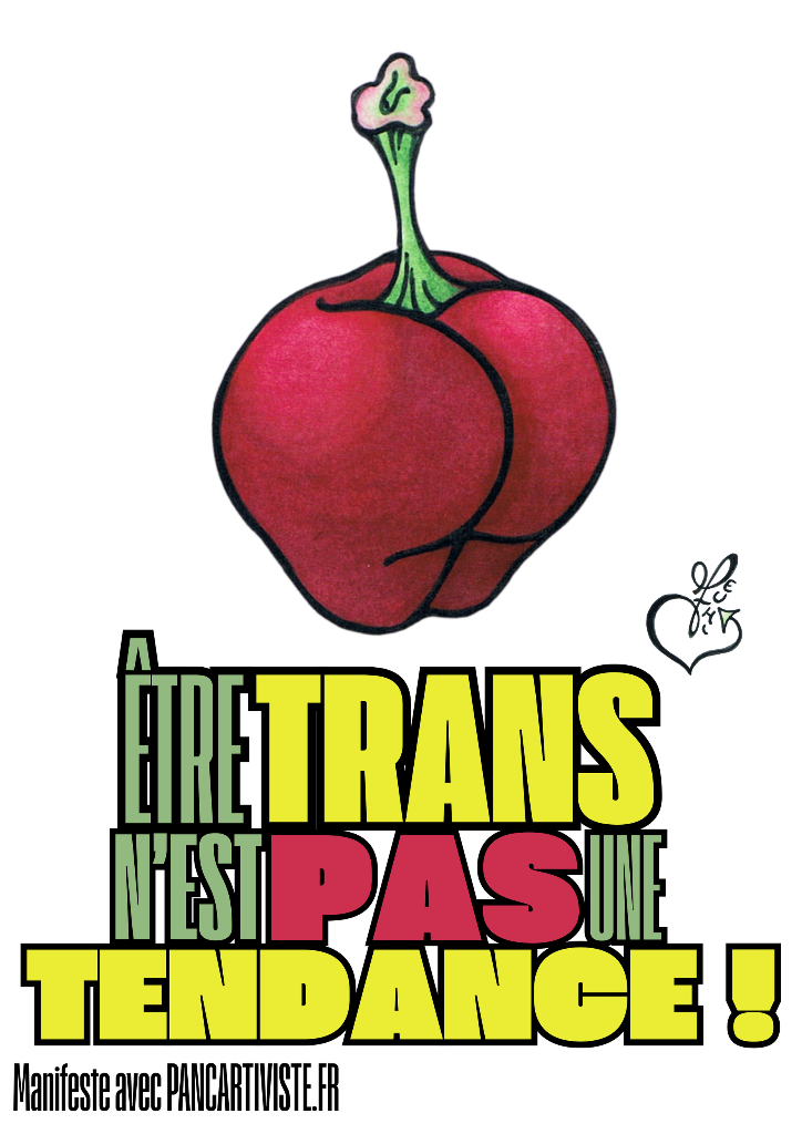 Être Trans n'est pas une Tendance !