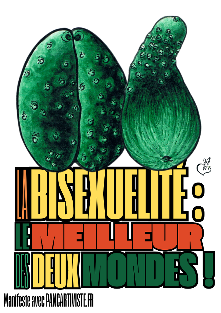 Ni Confus Ni Indécis : Bisexuel !
