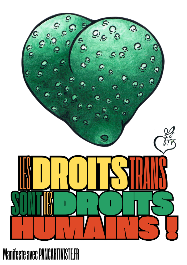 Les Droits Trans sont des Droits Humains !