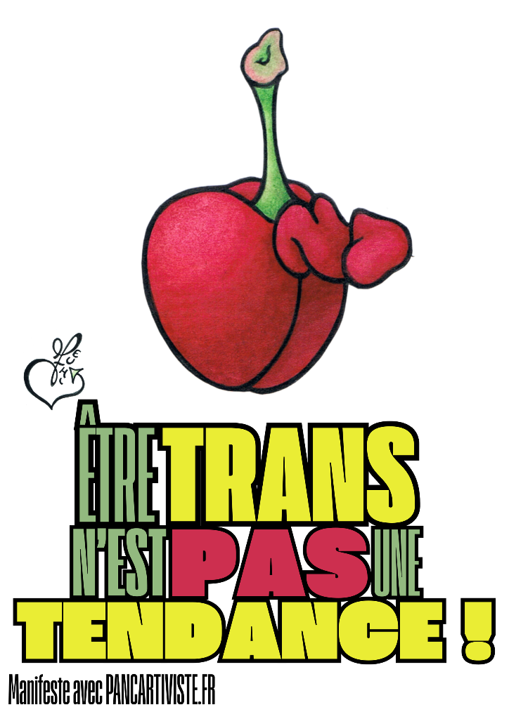 Être Trans n'est pas une Tendance !