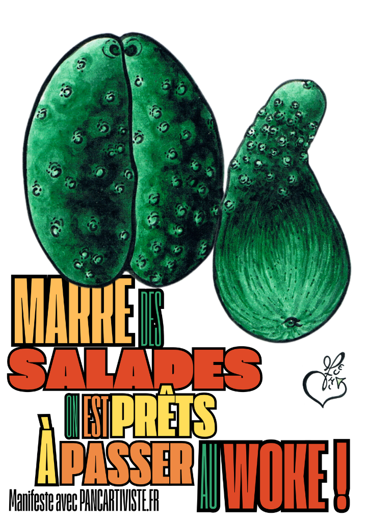 Marre des Salades, on est Prêts à Passer au Woke !