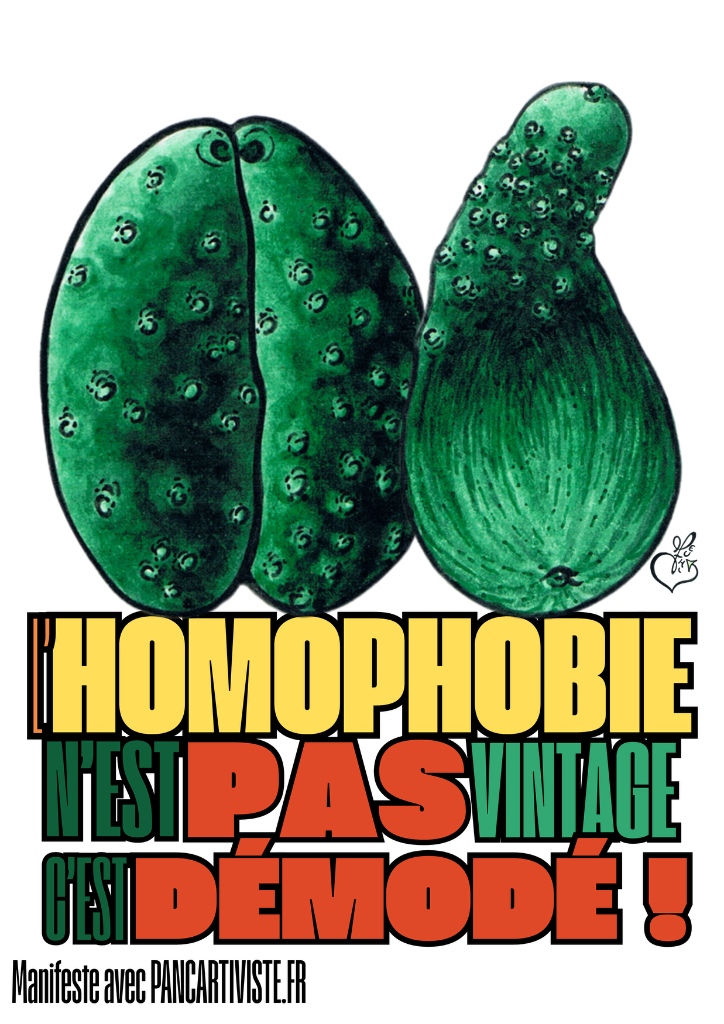 L'Homophobie n'est pas Vintage, C'est Démodé !
