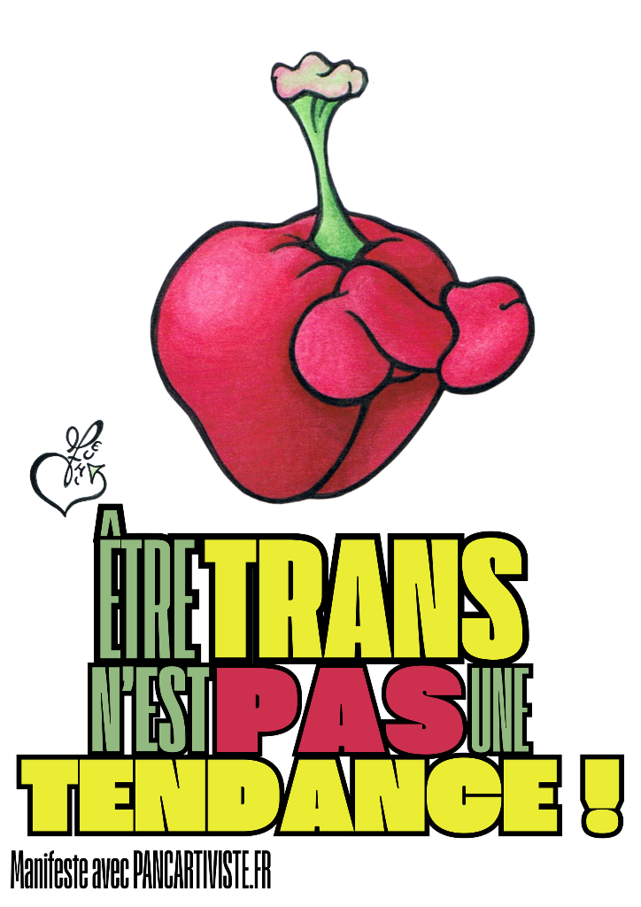 Être Trans n'est pas une Tendance !