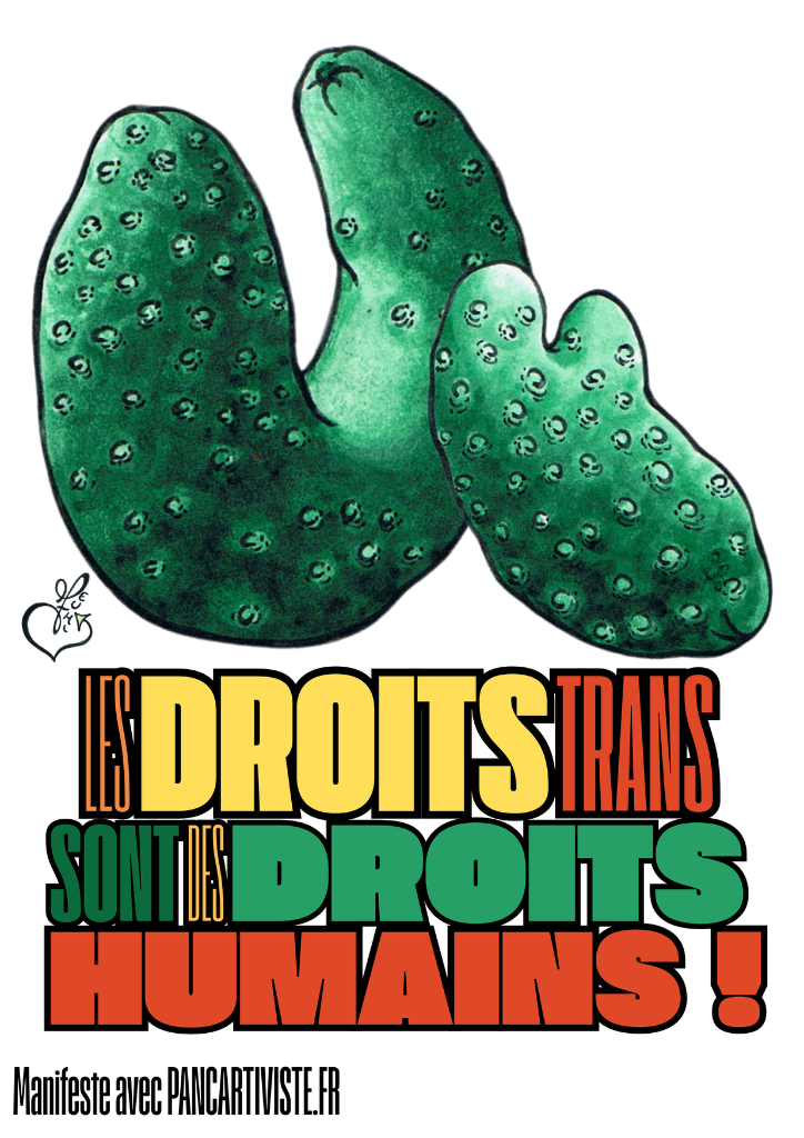 Les Droits Trans sont des Droits Humains !
