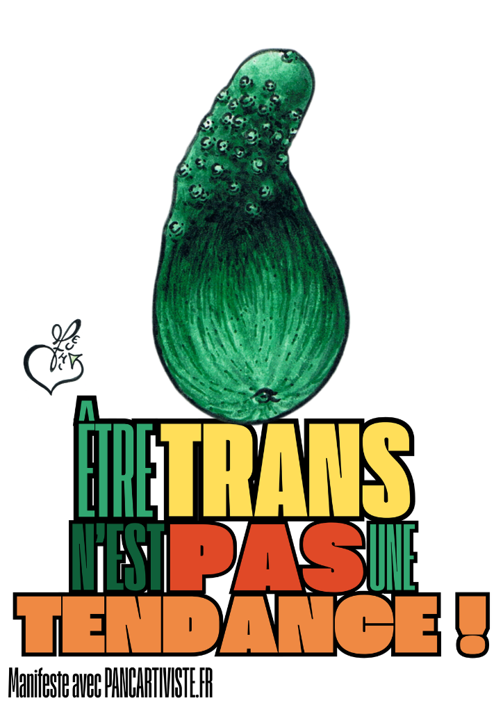 Être Trans n'est pas une Tendance !