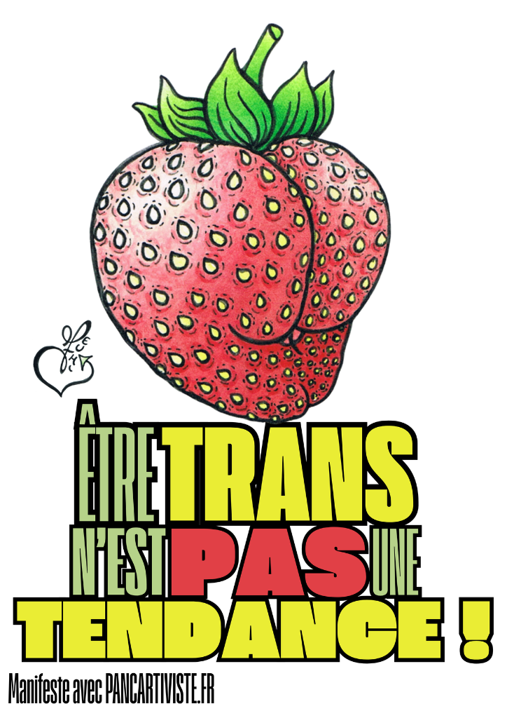 Être Trans n'est pas une Tendance !