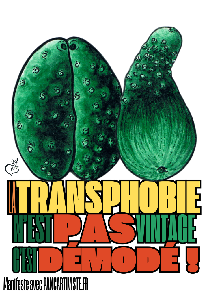 La Transphobie n'est pas Vintage, c'est Démodé !