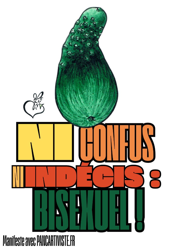 Ni Confus Ni Indécis : Bisexuel !