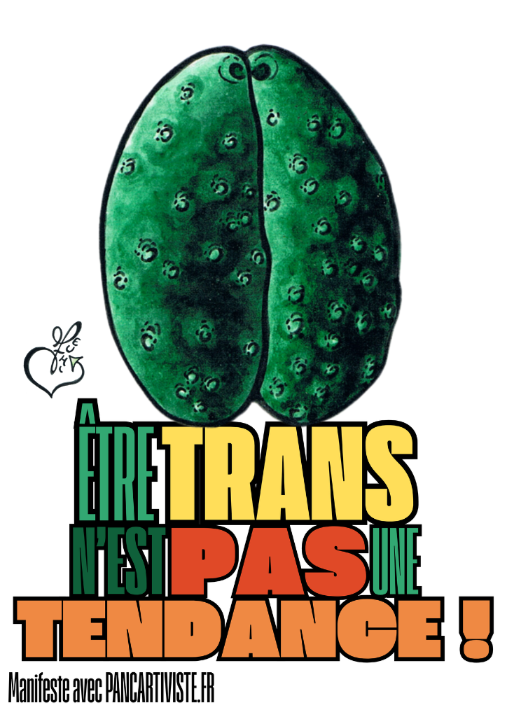 Être Trans n'est pas une Tendance !