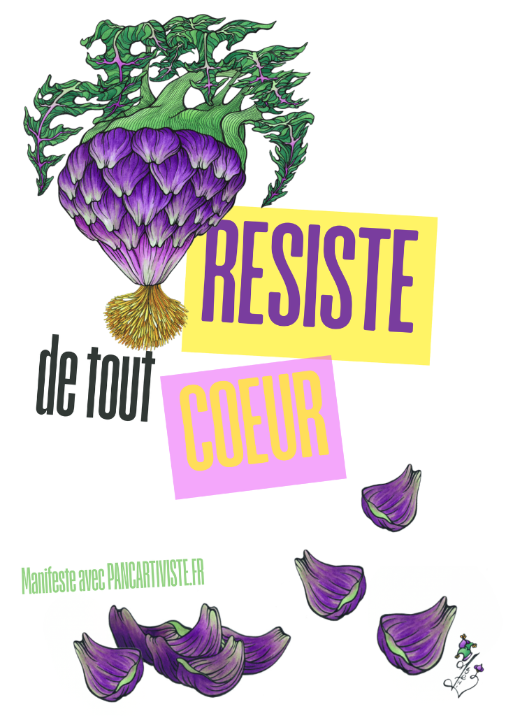 Cœur d'Artichaut Violet Résistant