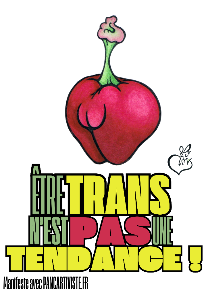 Être Trans n'est pas une Tendance !