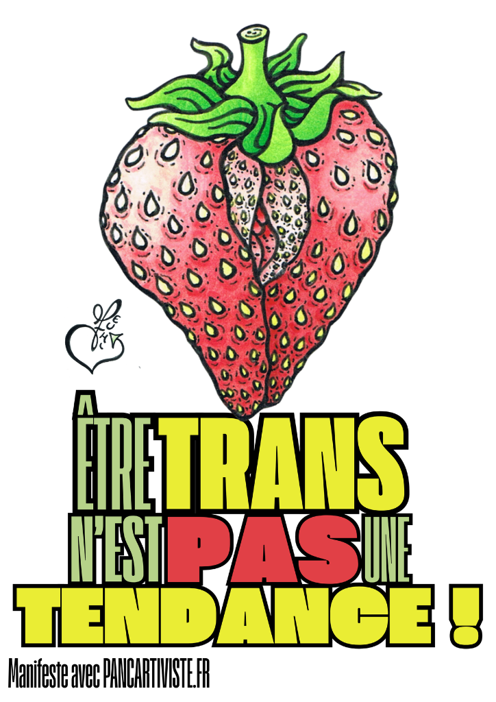 Être Trans n'est pas une Tendance !