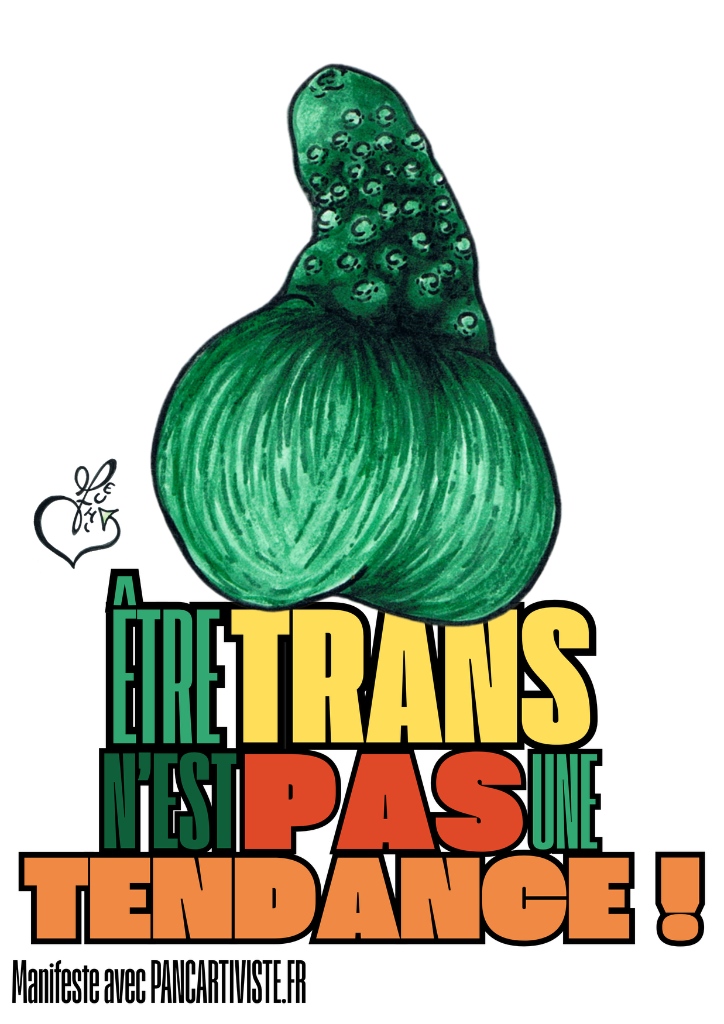 Être Trans n'est pas une Tendance !