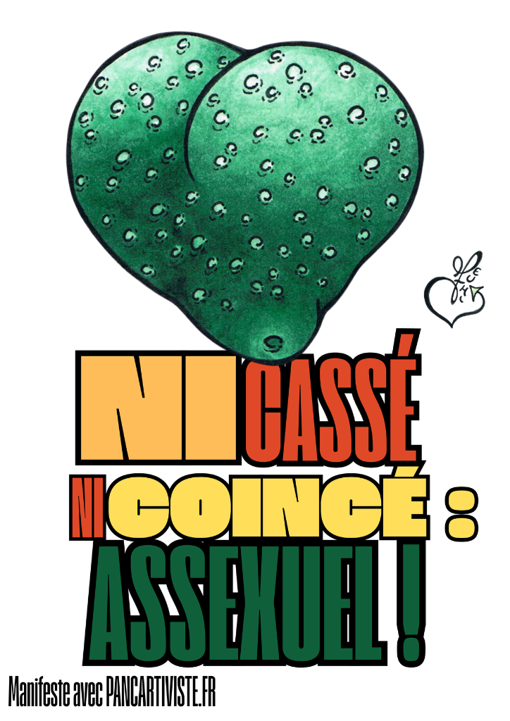 Ni Cassée Ni Coincée : Assexuelle !