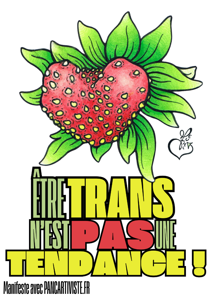 Être Trans n'est pas une Tendance !