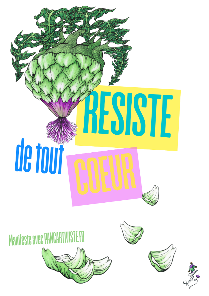 Cœur d'Artichaut Vert Résistant