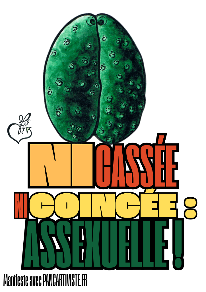 La Bisexuelité : le Meilleur des Deux Mondes !