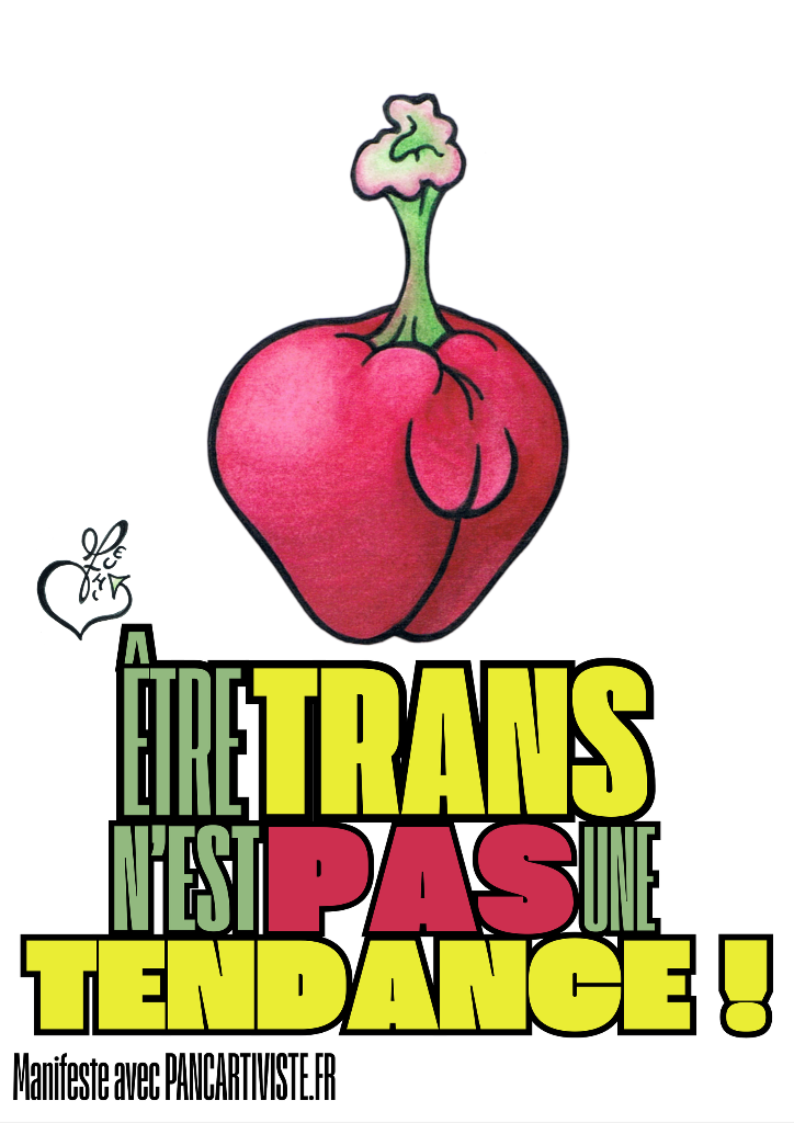 Être Trans n'est pas une Tendance !