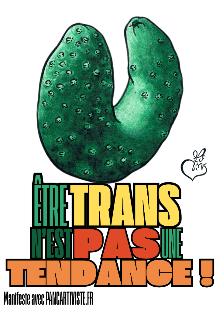 Être Trans n'est pas une Tendance !