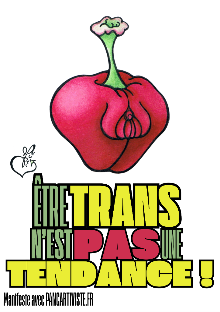 Être Trans n'est pas une Tendance !