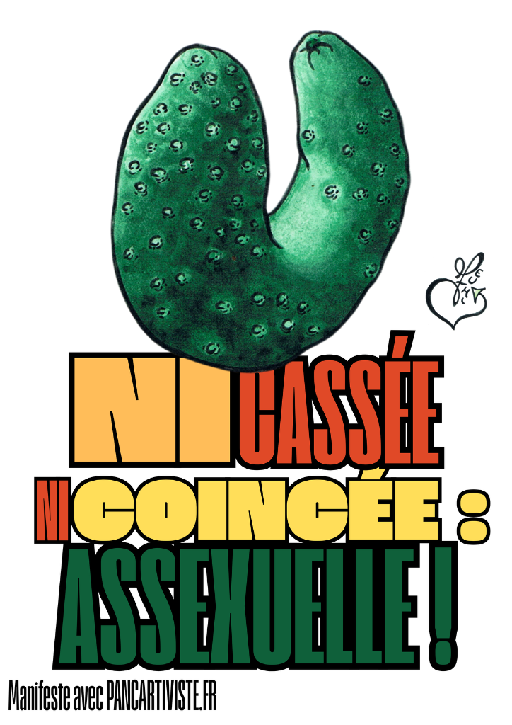 Ni Cassée Ni Coincée : Assexuelle !