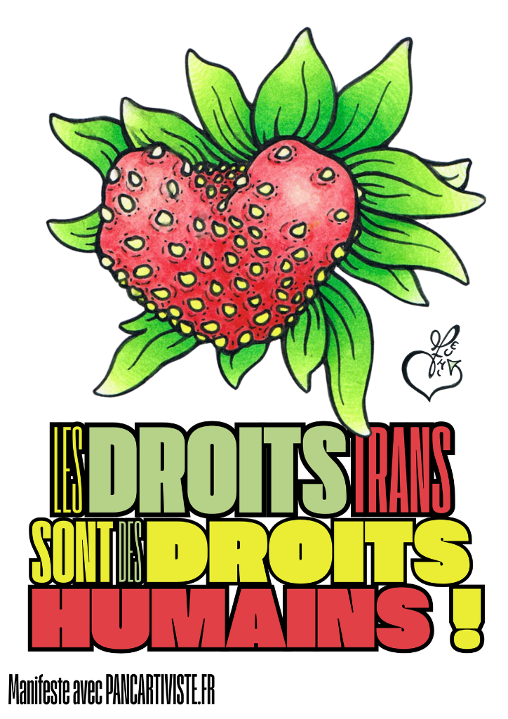 Les Droits Trans sont des Droits Humains !