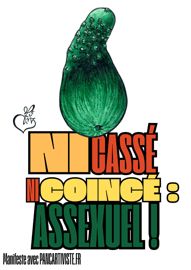 Ni Cassée Ni Coincée : Assexuelle !