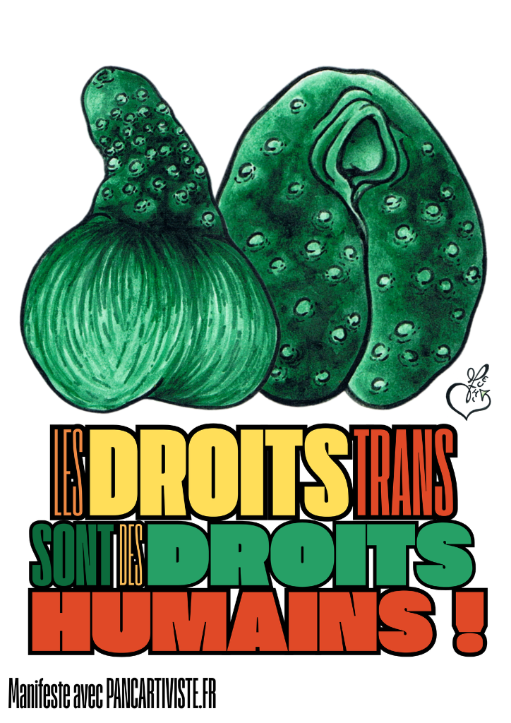 Les Droits Trans sont des Droits Humains !