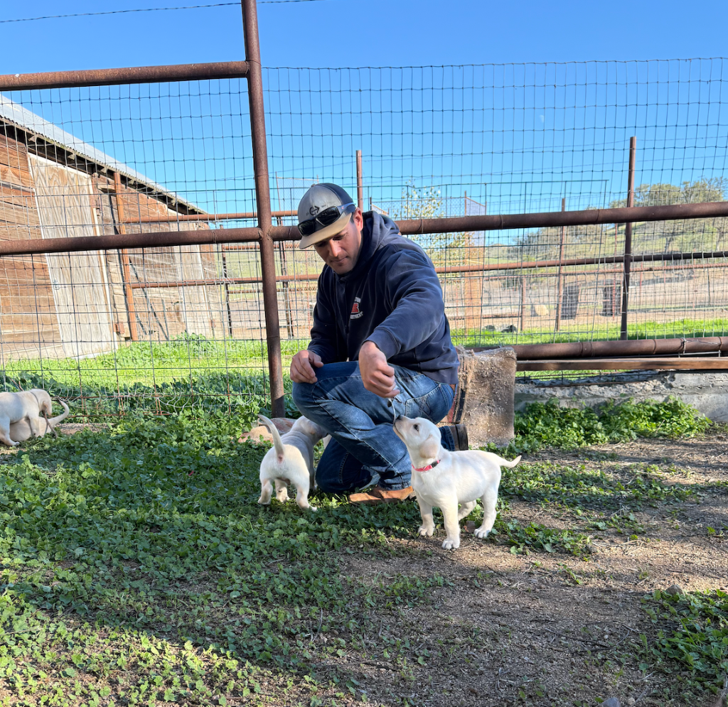 The Morrison family legacy — six generations of ranching at Camatta Ranch
