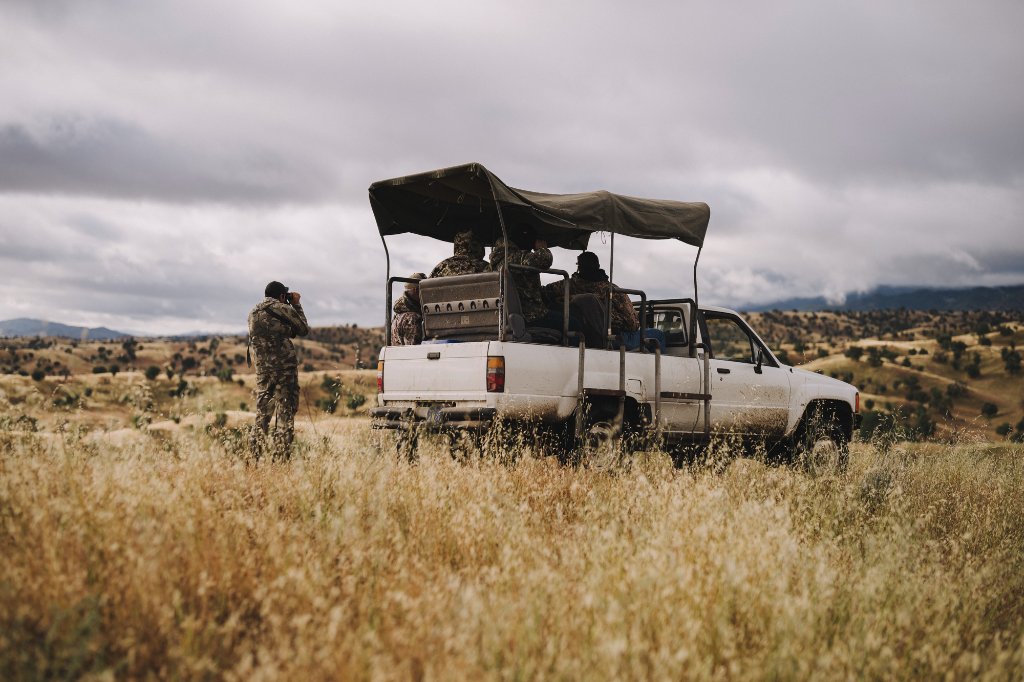 Successful wild boar hunt at Camatta Ranch, Central Coast California