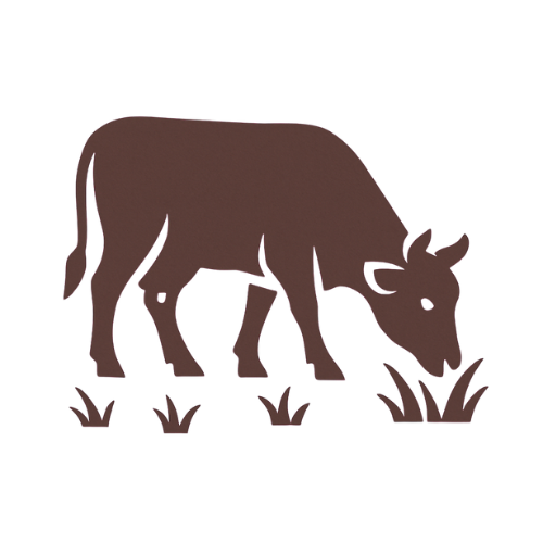 Icon representing 100% pasture-raised cattle at Camatta Ranch
