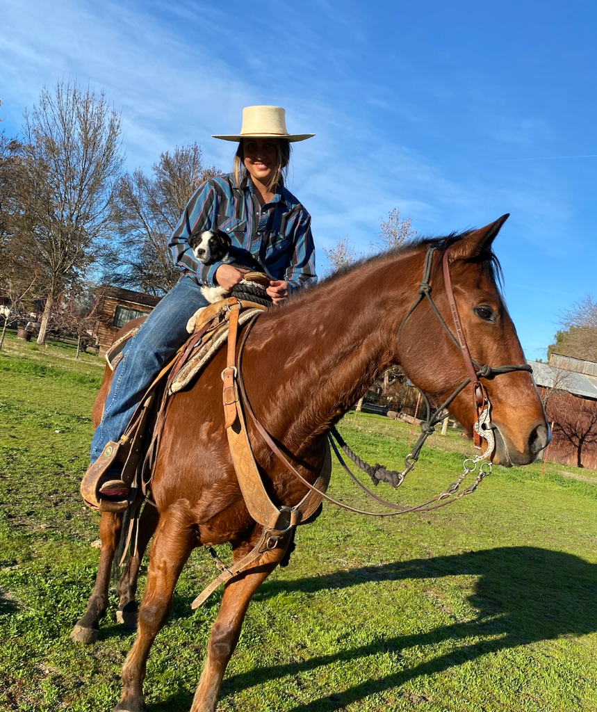 Ranch work and cattle operations at Camatta Ranch, Central Coast California