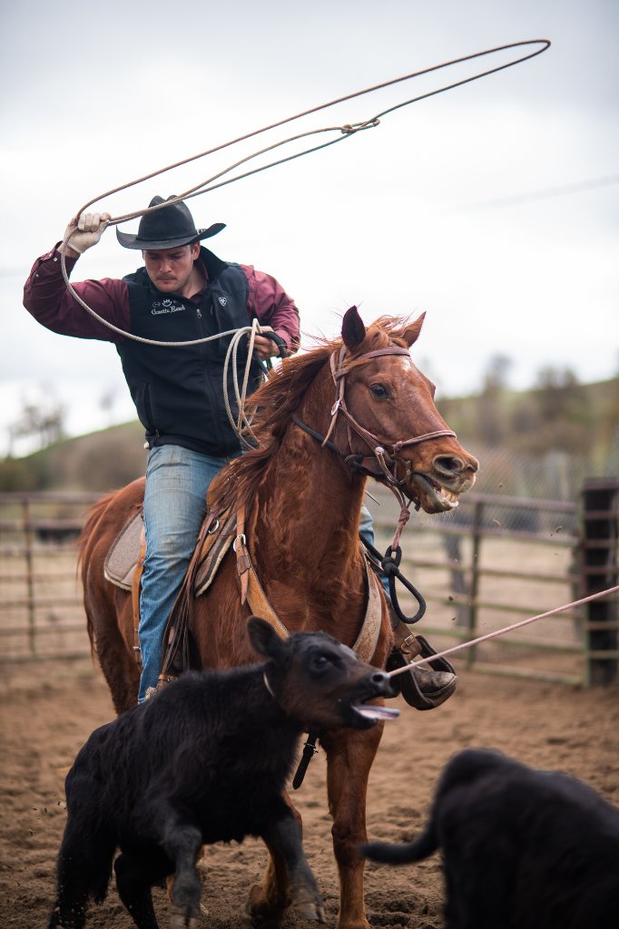Haustin Morrison roping cattle on Camatta Ranch — sixth-generation rancher