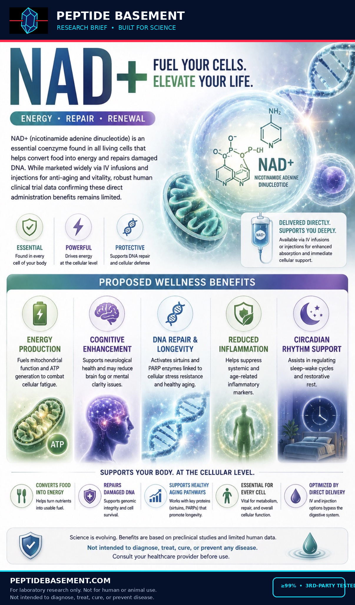 NAD+ research graphic