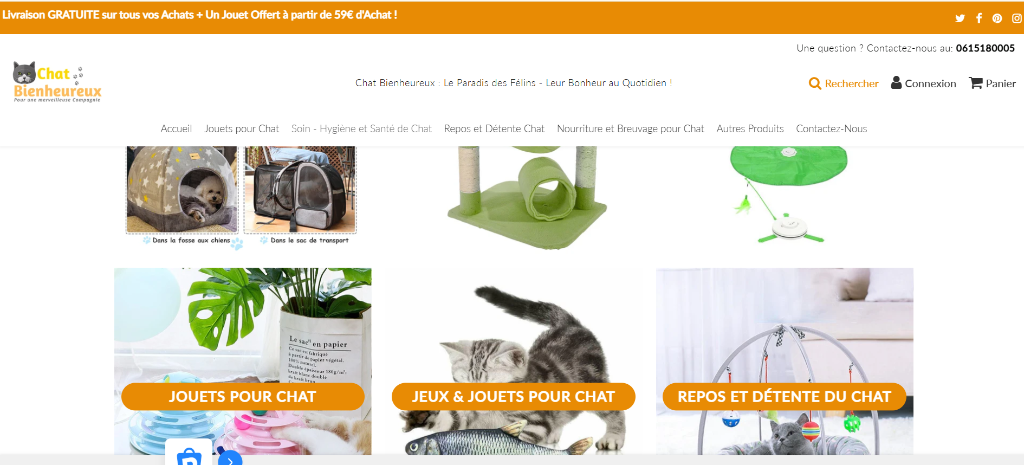 Chat Bienheureux