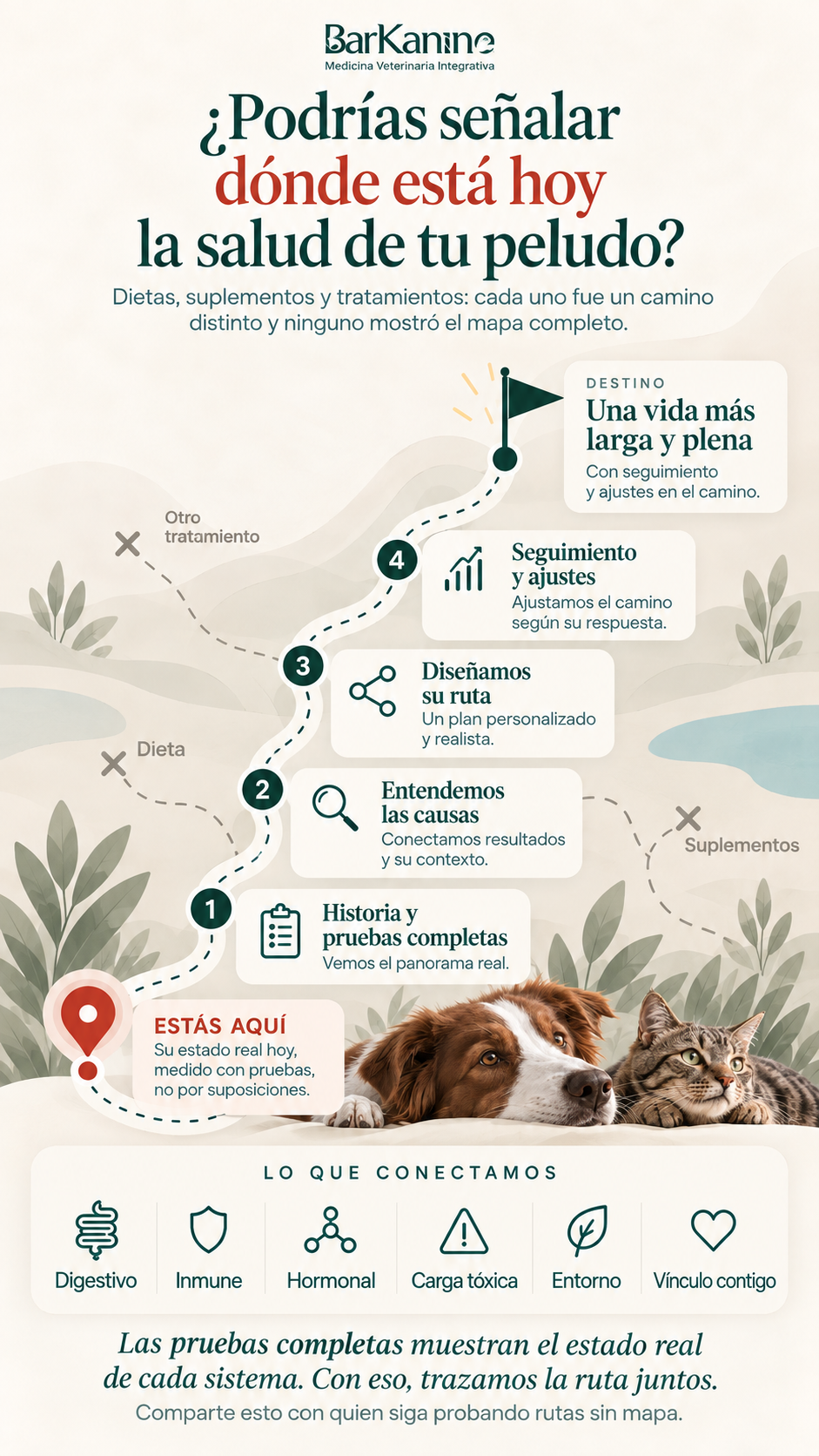 Mapa con un punto rojo "Estás aquí" y un camino en cuatro paradas: historia y pruebas, causa de raíz, plan a tu medida y seguimiento.