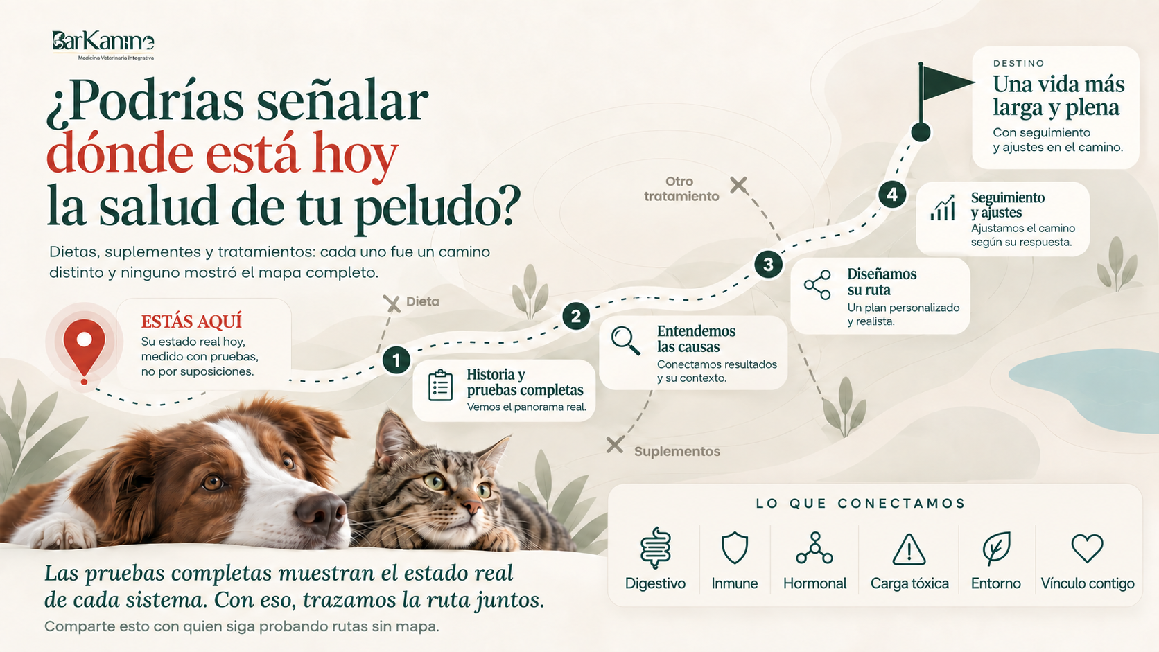 Mapa con un punto rojo "Estás aquí" y un camino en cuatro paradas: historia y pruebas, causa de raíz, plan a tu medida y seguimiento.